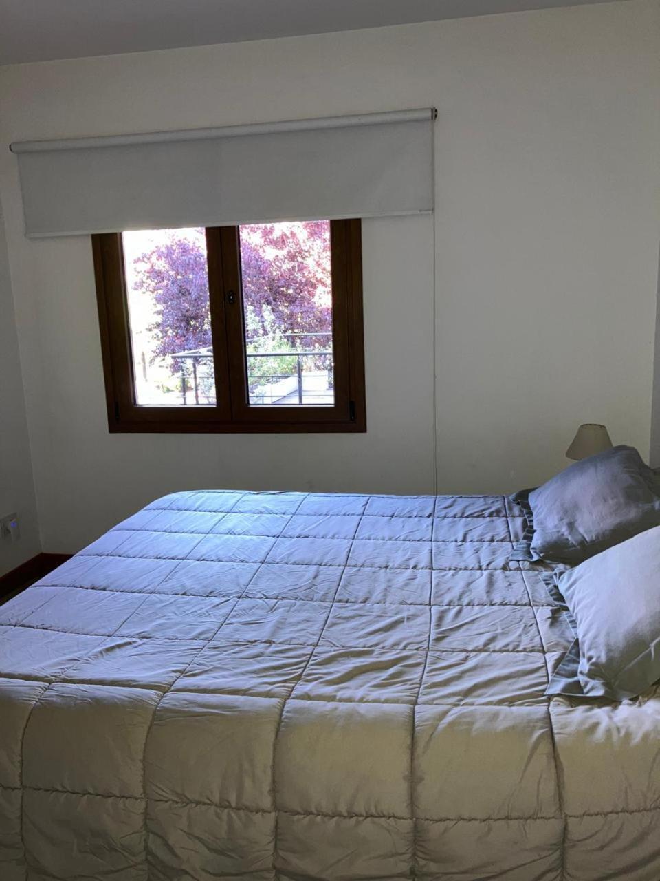 Comodo Departamento Centrico En San Martín de los Andes Exterior foto